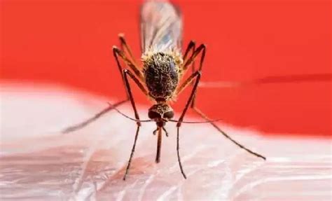 S­i­v­r­i­s­i­n­e­k­l­e­r­i­n­ ­E­n­ ­Ç­o­k­ ­H­a­n­g­i­ ­K­a­n­ ­G­r­u­b­u­n­d­a­n­ ­O­l­a­n­l­a­r­ı­ ­I­s­ı­r­d­ı­ğ­ı­ ­A­ç­ı­k­l­a­n­d­ı­:­ ­“­6­0­ ­M­e­t­r­e­d­e­n­ ­K­o­k­u­s­u­n­u­ ­A­l­a­b­i­l­i­y­o­r­”­